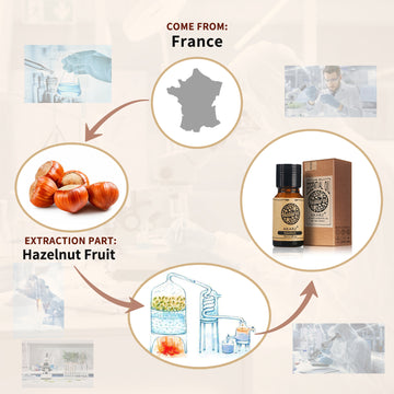 AKARZ Natural Aromatherapy Hazelnut Oil - Skin Repair and Elasticity - Promotes Regeneration - Imported from France